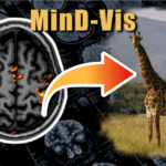A.I. Αναγνωρίζει τι Βλέπουμε “Διαβάζοντας το Μυαλό μας”